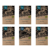 Our Favourite Plants: Medicinal Plants & Incense...