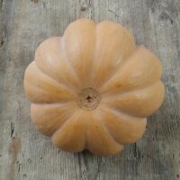 Pumpkin Musquée de Provence (Cucurbita moschata) seeds