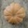 Pumpkin Musquée de Provence (Cucurbita moschata) seeds