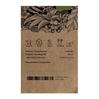 Linseed / Flax (Linum usitatissimum)