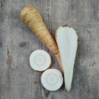 Parsnip Half-length (Pastinaca sativa) seeds