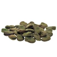 Fava Bean Hangdown Grünkernig (Vicia faba) seeds