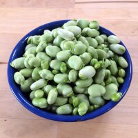 Fava Bean Hangdown Grünkernig (Vicia faba) seeds