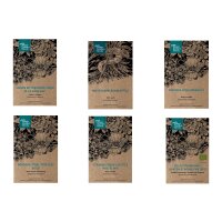 Wonderful Dried Flower - Seed Kit