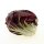 Radicchio Palla Rossa (Cichorium intybus var. foliosum) seeds