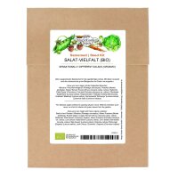 Sensationally Different Salads (Organic) – Seed Kit