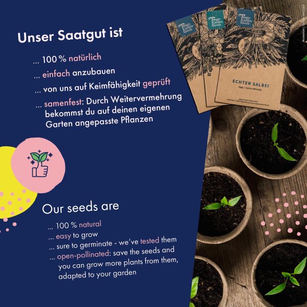 Gemsesamen - 12 samenfeste alte Gemsesorten fr den Garten, das Hochbeet  oder den Balkon - fast vergessen & lecker - Einsteiger-Saatgutset als  kleines Geschenk oder fr den Eigenbedarf