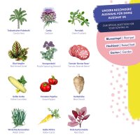 Vegetable seeds - 12 open pollinated varieties - heirloom & delicious - Beginner seed kit