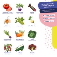 Vegetable seeds - 12 open pollinated varieties -  easy & high-yielding - Beginner seed kit