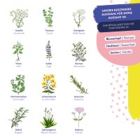 Medicinal herb seeds - 12 open pollinated varieties - traditional & beneficial - Beginner seed kit