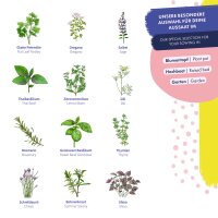 Herb seeds - 12 open pollinated kitchen herb varieties - aromatic & flavoursome - Beginner seed kit
