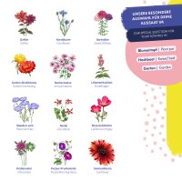 Flower seeds - 12 open pollinated varieties  - wild & colourful - Beginner seed kit