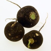 Black Round Radish Runder Schwarzer Winter (Raphanus...