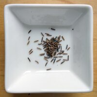 Elecampane (Inula helenium) seeds