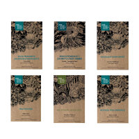 Magnificent White - Seed kit gift box