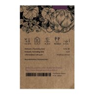 May Savoy Cabbage Vertus (Brassica oleracea convar. capitata var. sabauda L.) seeds