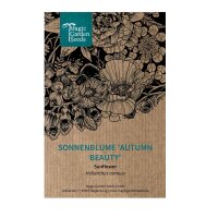 Reddish-brown Sunflower Autumn Beauty Helianthus annuus) seeds