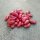 Snap Bean / Dwarf French Bean Canadian Wonder (Phaseolus vulgaris) organic seeds