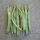 Snap Bean / Dwarf French Bean Canadian Wonder (Phaseolus vulgaris) organic seeds