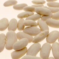Pole Bean Neckar Queen (Phaseolus vulgaris) seeds