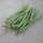 Pole Bean Neckar Queen (Phaseolus vulgaris) seeds