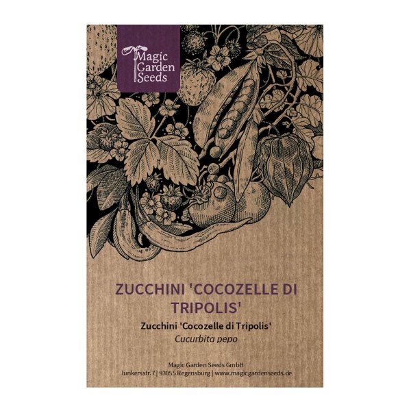 Zucchini 'Cocozelle di Tripolis' (Cucurbita pepo) seeds