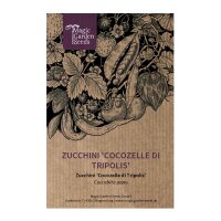 Zucchini Cocozelle di Tripolis  (Cucurbita pepo) seeds