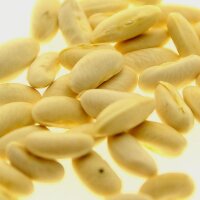 Yellow Orinoco Wax Bean (Phaseolus vulgaris) seeds