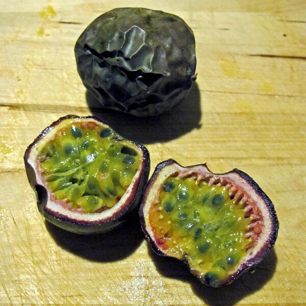 Passion Fruit / Granadilla (Passiflora edulis) seeds