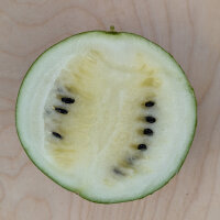 Watermelon Cream of Saskatchewan (Citrullus lanatus) seeds