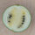 Watermelon Cream of Saskatchewan (Citrullus lanatus) seeds