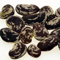 Lima Bean (Phaseolus lunatus) seeds