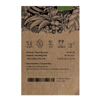 Woodland Tobacco (Nicotiana sylvestris) seeds