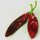 Guajillo Chilli Pepper (Capsicum annuum) seeds