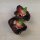 Chili Pepper Chilhuacle Negro (Capsicum annuum) seeds