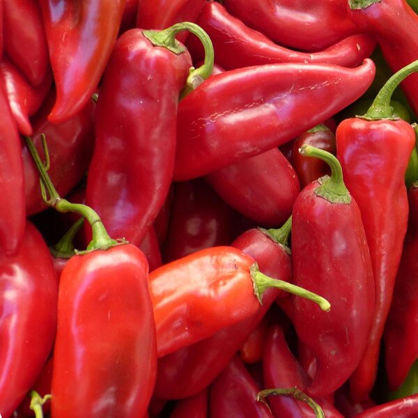 Big Spanish Pointed Pepper (Capsicum annuum) seeds