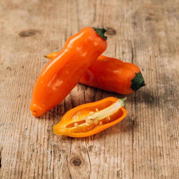 Chili pepper Aji Amarillo (Capsicum baccatum) seeds