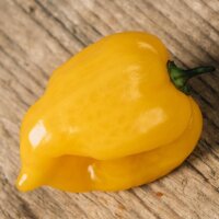 Hot Lemon Habanero Chili Pepper (Capsicum chinense) seeds