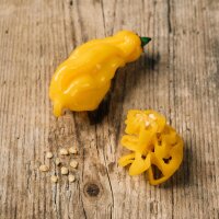 Suriname Yellow Pepper Madame Jeanette (Capsicum...