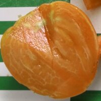 Turkmenistan Beefsteak Tomato Serdtse Ashkhabada (Solanum lycopersicum) seeds