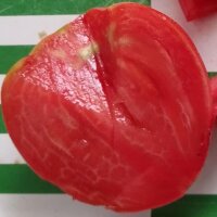 Turkmenistan Beefsteak Tomato Serdtse Ashkhabada (Solanum lycopersicum) seeds