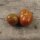 Black Pear Tomato (Solanum lycopersicum) seeds