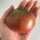Carbon Tomato (Solanum lycopersicum) seeds