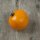 Bush Tomato Ida Gold (Solanum lycopersicum) seeds