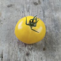 Tomato Sorbet De Citron (Solanum lycopersicum)