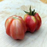 Stuffing Tomato Striped Stuffer (Solanum lycopersicum) seeds