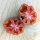 Stuffing Tomato Striped Stuffer (Solanum lycopersicum) seeds