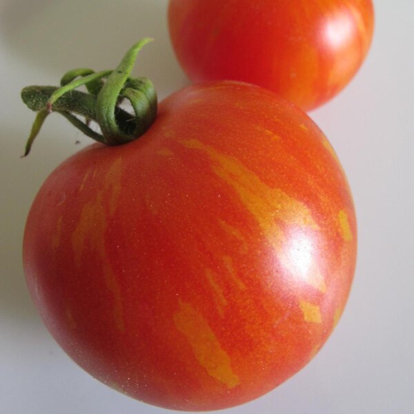 Tomato Tiger Tom (Solanum lycopersicum) seeds