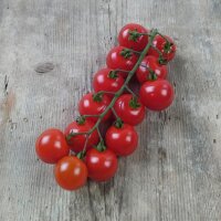 Cherry Tomato Red Bell (Solanum lycopersicum) seeds