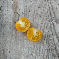 Cocktail Tomato Clementine (Solanum lycopersicum) seeds